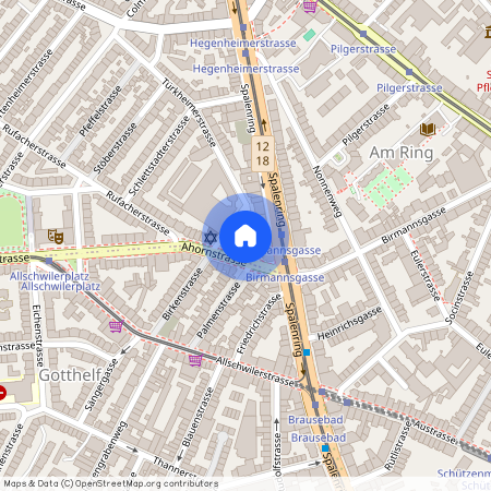 Türkheimerstrasse 5, 4055 Basel