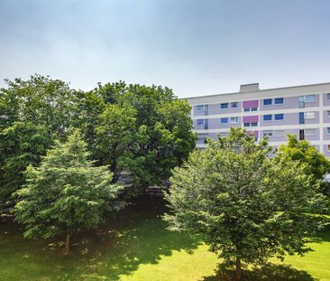 Near lake Lerchenau and OEZ - Photo 6