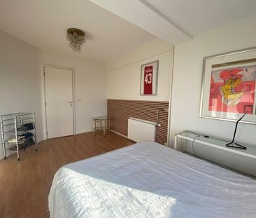 Meander 151 - Photo 3