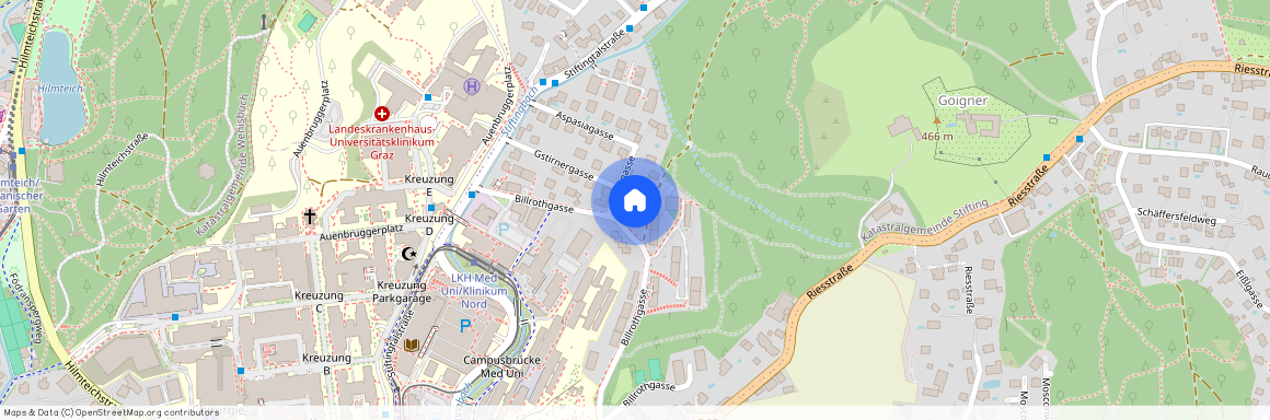 Steiermark, Billrothgasse, Öffentliche Verkehrsmittel: Straßenbahn 7 + Bus 58 2-5 Min. zu Fuß, 8047, Graz