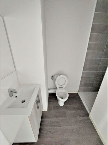 Location Appartement 1 pièce 19m² AUZEVILLE TOLOSANE 31320 - Photo 4