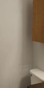 3 Chambres, Plateau, Hull, Sept 2026 - Photo 4