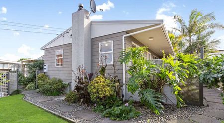 Charming Mt Wellington 3BR Home - Photo 5