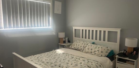 MODERN TWO BEDROOM GRANNY FLAT - Photo 2