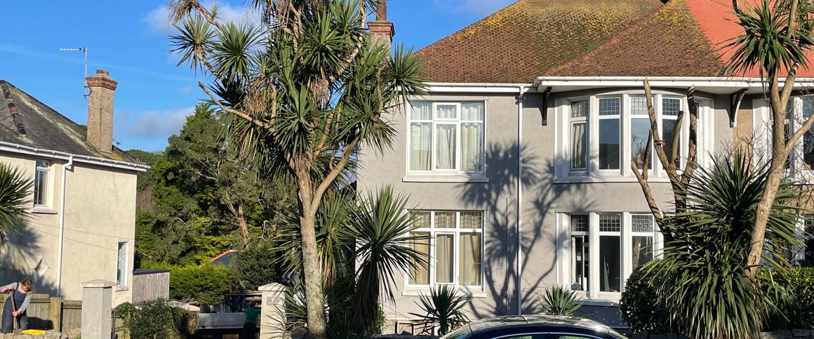 Dracaena Avenue Garden Studio - Photo 1