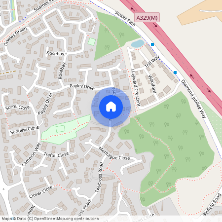 Montague Park, Wokingham