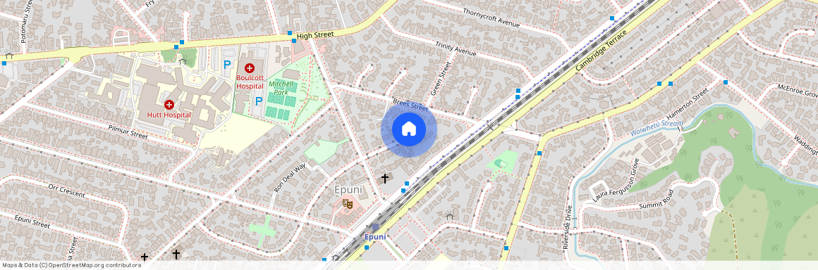 79 Hall Crescent, Epuni, Lower Hutt City