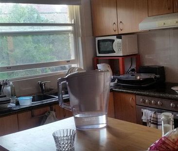 Hurlstone Park - Photo 2