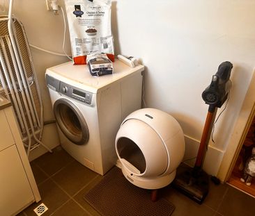 Salisbury East - Photo 6