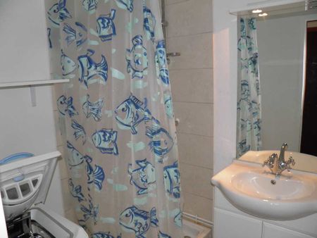 Location Appartement 2 pièces 31m² SETE 34200 - Photo 5