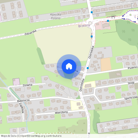 ul. Zmyślona, Brzeziny, Białołęka, Warszawa, mazowieckie