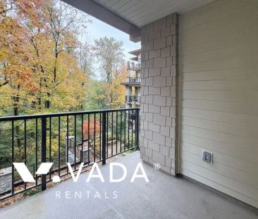 1 Bedroom Apartment For Rent in Port Coquitlam - Photo 2