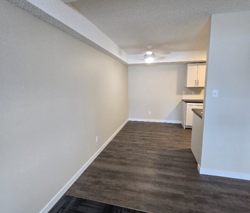 Beautiful renovated ground floor 1 bedroom available now! - Photo 3