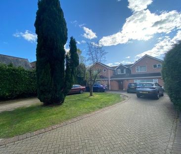 Lyndhurst Road, Landford - Photo 5