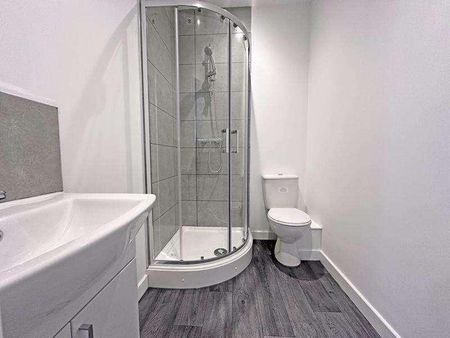 Alexandra Road, Tipton, DY4 - Photo 4