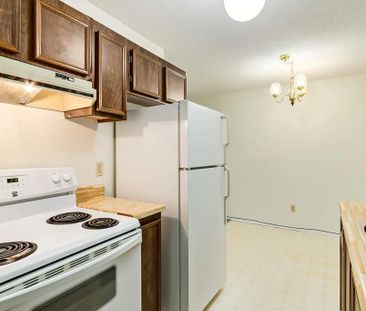 Renovated Suite - 1 Bedroom - Photo 4