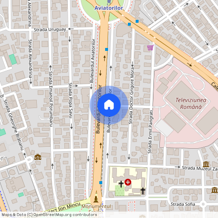 Aviatorilor, Bulevardul Aviatorilor, Aviatorilor, Sector 1, Bucharest, 011864, Romania