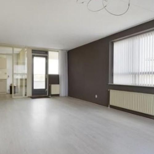 Kapelhof, 1507 VC Zaandam, Nederland - Foto 1