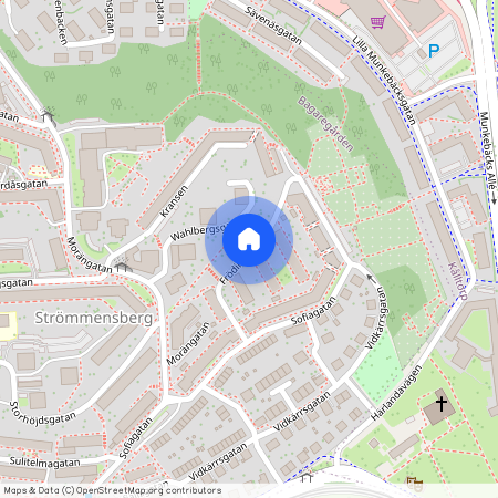 Frödingsgatan, Göteborg