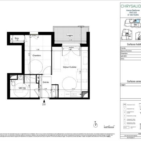 Location Appartement 2 pièces 42m² TOURS 37200 - Photo 4