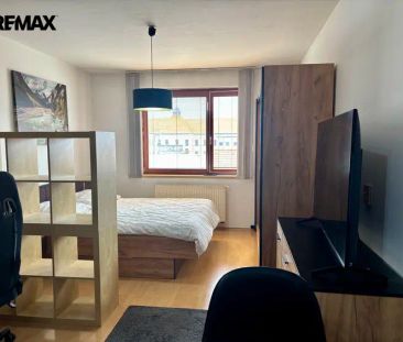 Pronájem kompletně zařízeného bytu - Pardubice- Jana Palacha - Photo 1