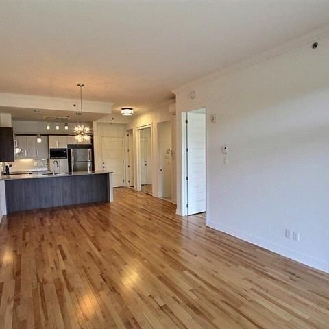 3655 Rue Jean Gascon - Photo 1