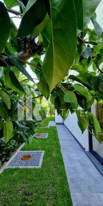 Nowoczesny Dom Wolnostojący w Mierzynie - Zdjęcie 3