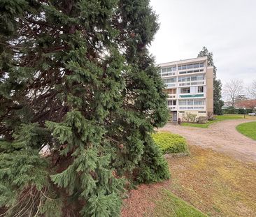 Location Appartement 2 pièces 48m² - Photo 6