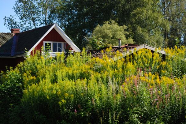 Järnvägsparken: Stor tvåa med snedtak - Foto 1