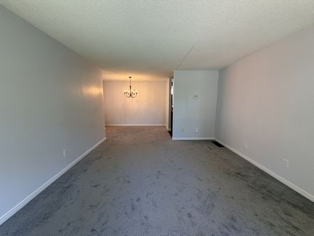 East Barrie: 3+1 Detached Home, Buchanan St. - Photo 5