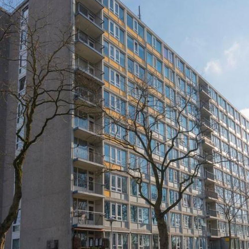 Pahud de Mortangesdreef 3562 Utrecht - Photo 2