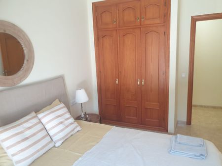 A large two bedroomed self contained apartment for winter rental in the Nerja countryside - Photo 3