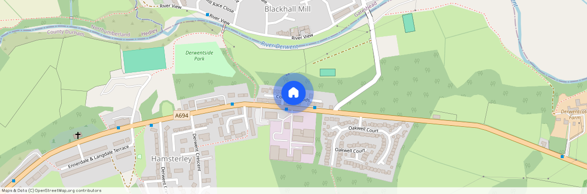 Coltpark Woods, Hamsterley Colliery