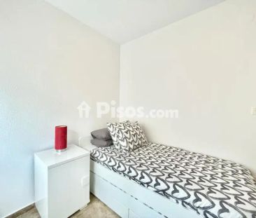 Piso en alquiler en Paseo del Salón - Photo 4