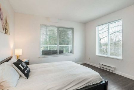 201-11671 Fraser Street, Maple Ridge - Photo 5