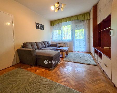 Nagyerdő, Hajdú-Bihar, 4028, Debrecen - Photo 3