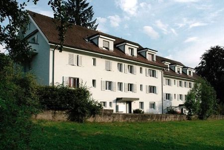 Close to nature and urban at the same time - living near Egelsee - Photo 5