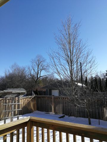 For Lease - 228 Vanda Drive, Vaughan, Ontario - Photo 5