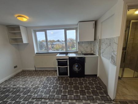 Studio Flat, Priory Gardens, W5 - Photo 5