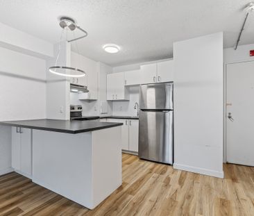 Appartement à louer - Gatineau (Hull) (Île de Hull) Appartement à l... - Photo 3