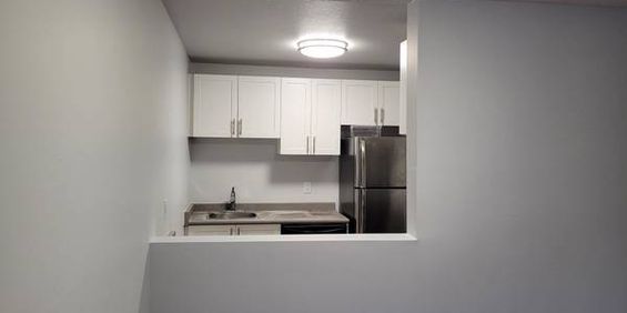 DO NOT PAY TILL MAR - 1 bed + den near Lougheed with walk out area - Photo 3