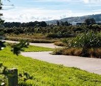 57 Rorotu Ave, Karaka - Photo 6