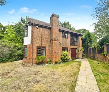 4 bedroom house to rent - Photo 6