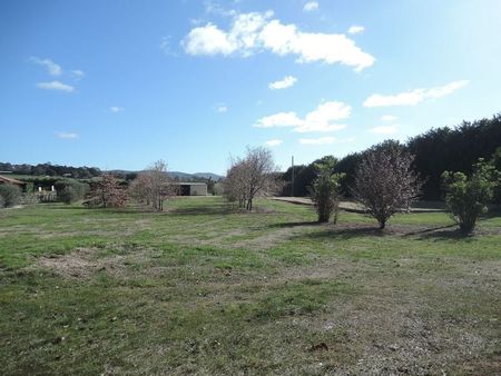 61 Wohl Court, Riddells Creek - Photo 5