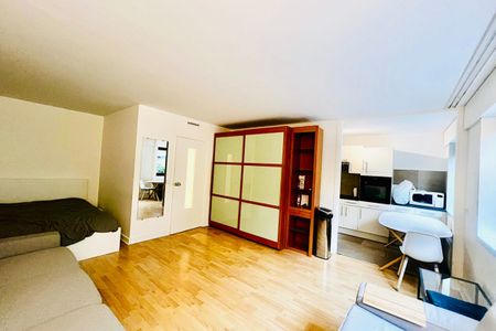 Triangle d'or - Location Grand Studio - 39 m2 - Photo 4