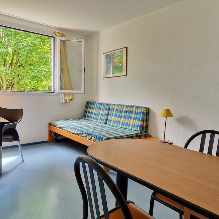 Location Appartement 1 pièce 19m² GIERES 38610 - Photo 1