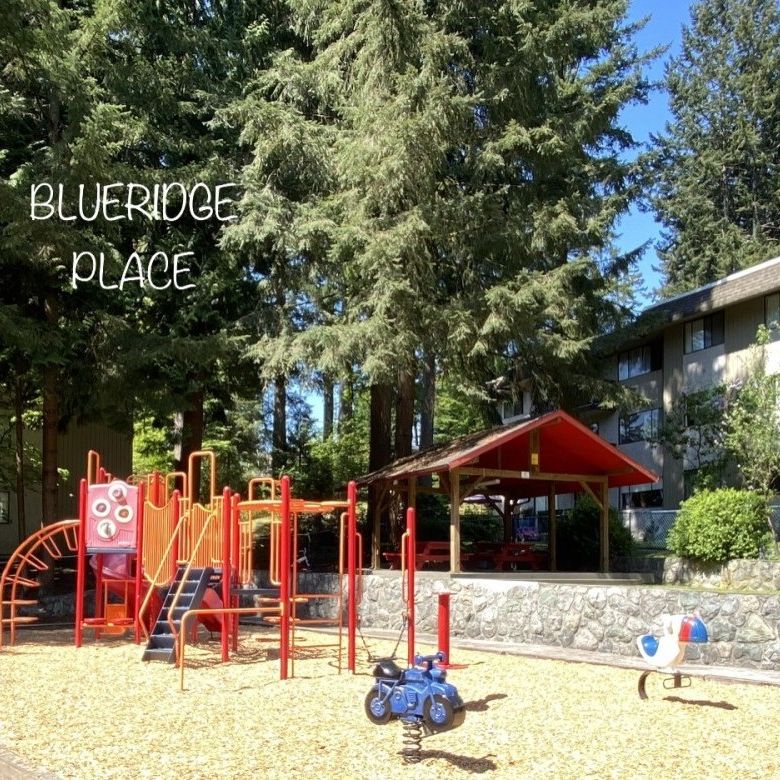 Blueridge Apartments - Photo 1