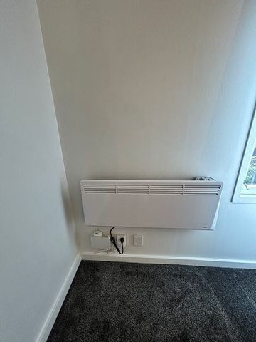 Sunny, Warm, Secure, Renovated unit - Photo 2