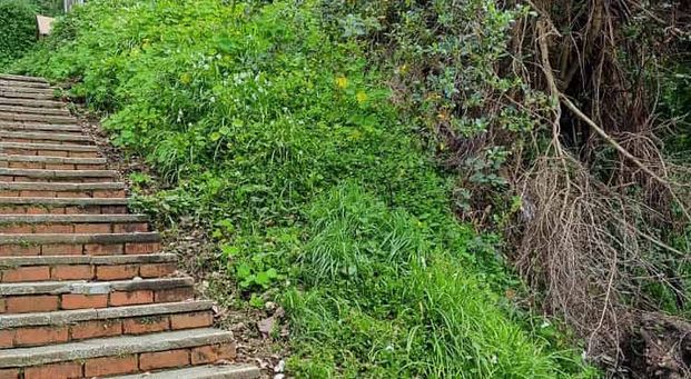 Bush-surrounded 2 bed flat in Aro Valley - Photo 1