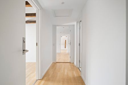 Attraktiv 3-værelses lejlighed i Aalborgs centrum - Photo 5